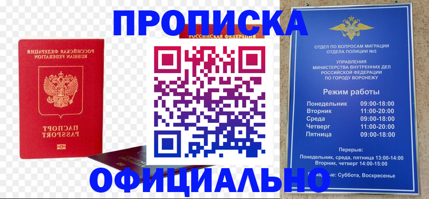 прописка иностранных граждан в Полярных Зорях
